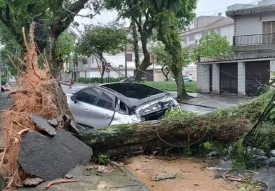 Vendaval de 125 km/h provoca três mortes e paralisa porto em São Paulo
